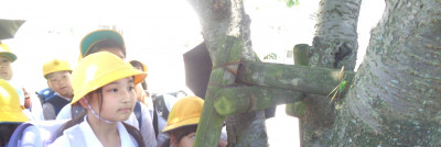 DSC05614