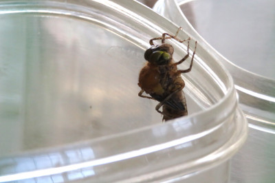 IMG_2273
