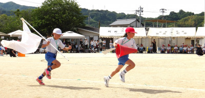 IMGP0390